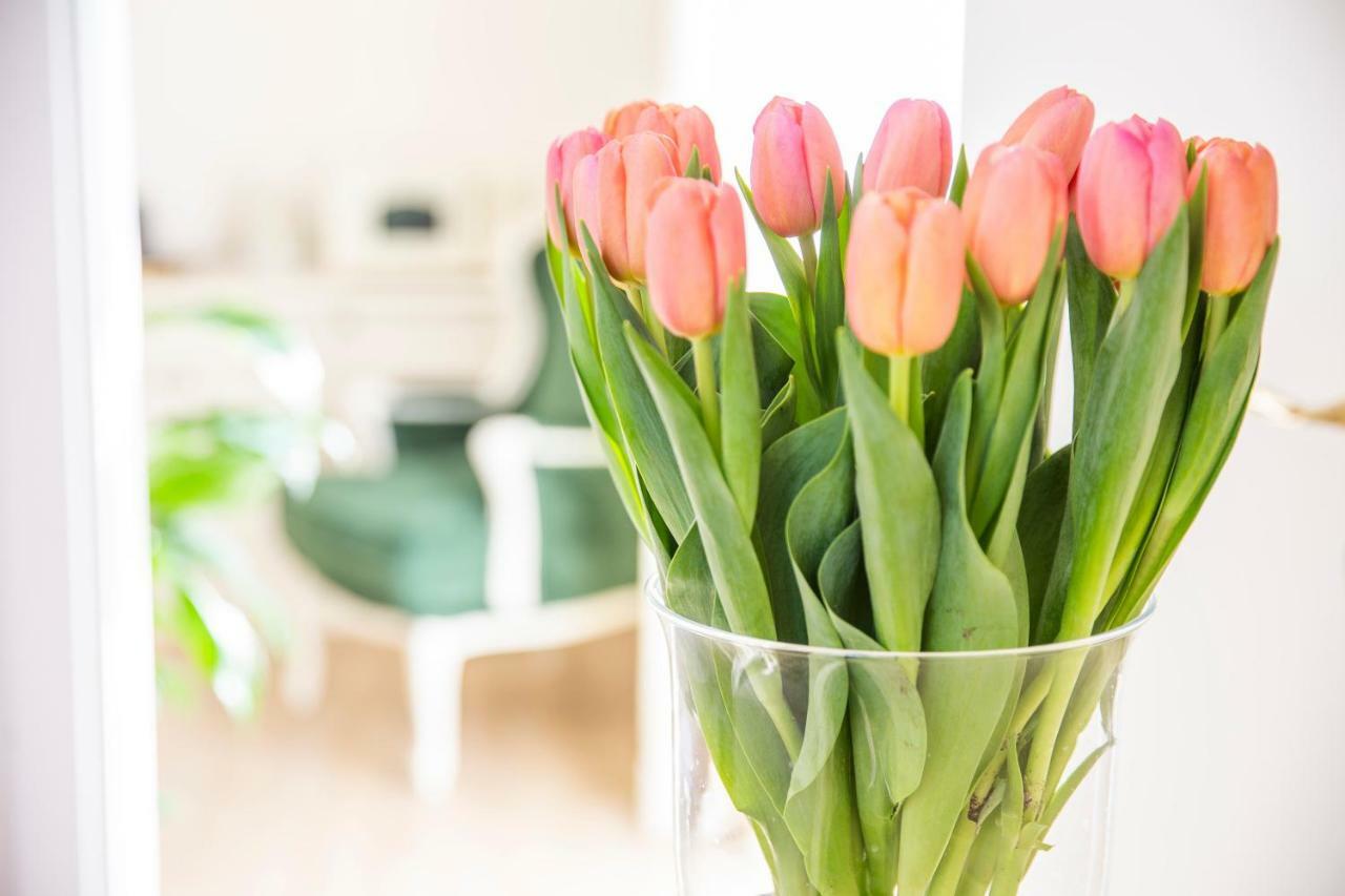Crys: Apartments, Holiday, Business, Verde فيرونا المظهر الخارجي الصورة